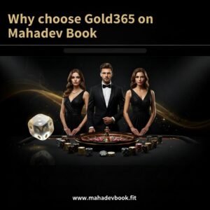 Gold365 live casino betting experience on Mahadev Book
